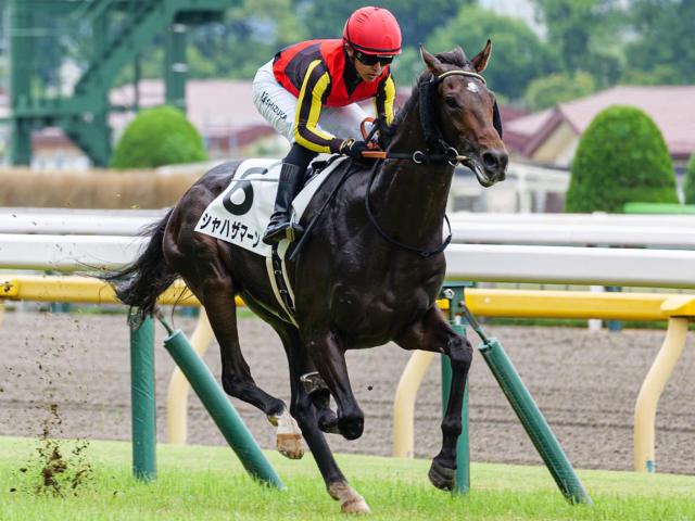 半兄に日本ダービー馬と皐月賞馬 シャハザマーンが2勝目なるか