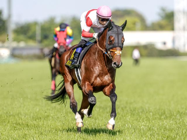 【エプソムC出走馬・騎手確定】ダノンエアズロック＆D.レーン騎手、シュトラウス＆北村宏司騎手など18頭
