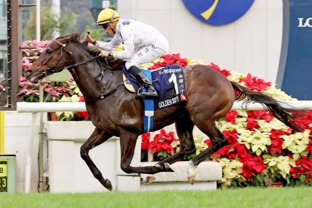 マイル無双の香港馬ゴールデンシックスティがけい養先に到着「雪景色に初めは戸惑っていましたが…」