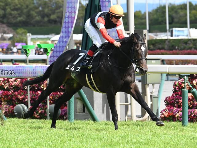 【京都新聞杯出走馬・騎手確定】エムズ＆松山弘平騎手、キングスコール＆坂井瑠星騎手など10頭