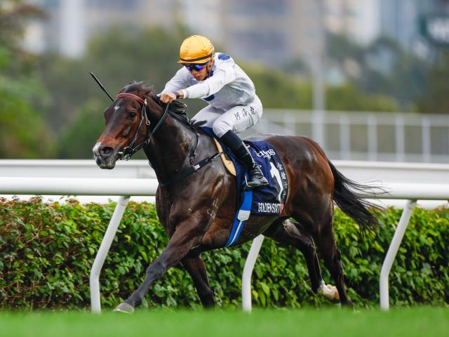 5月10日から香G1・10勝ゴールデンシックスティの見学開始 ノーザンホースパークが公式Xで発表