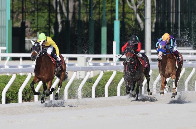 【園田競馬　西日本クラシック】5番人気キミノハート逃げ切った　田野も吉見師も笑顔が止まらず
