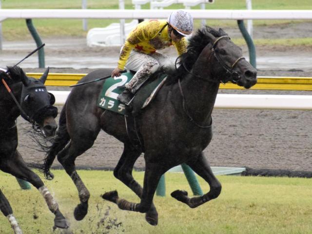エプソムCは道悪必至 古豪カラテの大激変があるかも