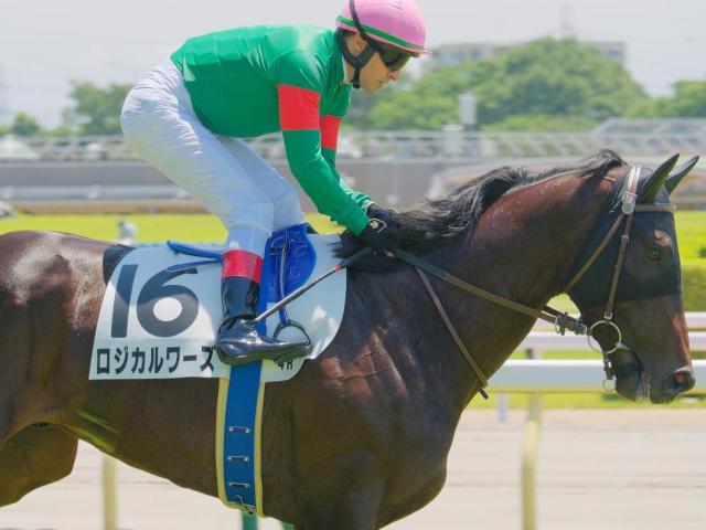 JRAの現役は僅か2頭 ニューアプローチ産駒のロジカルワーズ初勝利なるか