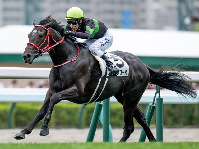 【京都新聞杯予想】前走4角での位置取りが好走の鍵！ 前走で後方からの競馬を経験している馬は割引が必要