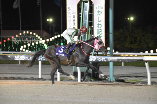 【船橋・東京湾カップ】ケンシレインボー快勝!鞍上山中とともに重賞初制覇