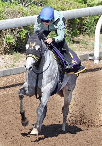 【NHKマイルC】開業2年目の千葉調教師がモンドデラモーレで2度目のG1参戦「最善を尽くしたい」