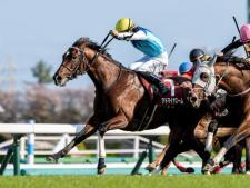 2歳マイル王者アドマイヤズームは4枠8番(ユーザー提供：Spice Upさん)