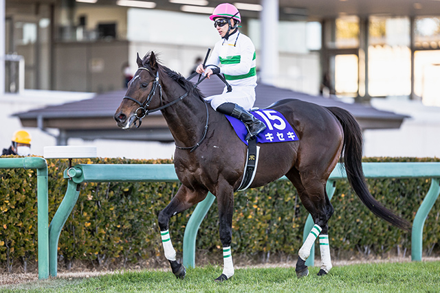 全兄は菊花賞馬のキセキ バルカンジャッジが待望のデビュー戦だ