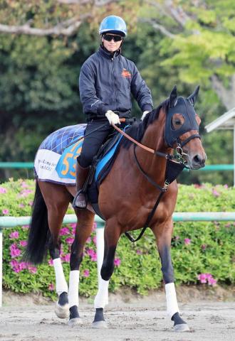 【エプソムC】ドゥラドーレスは2枠4番　ダノンエアズロックは8枠17番　シュトラウスは1枠2番　