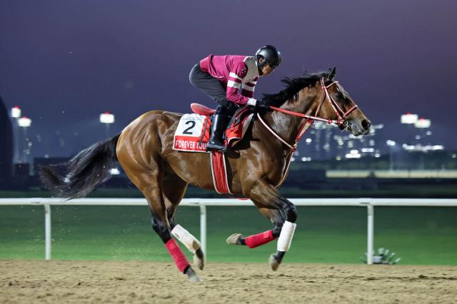 フォーエバーヤングは「世界1位」をキープ　2位タイに香港最強スプリンターのカーインライジングが浮上