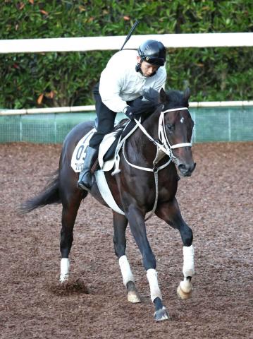 22年の兵庫チャンピオンシップを制したブリッツファングが競走馬登録抹消　門別競馬に移籍予定