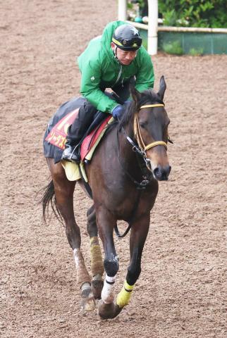 【ヴィクトリアマイル1週前】坂路で一番時計を出したソーダズリング　新谷調教師「しっかり負荷をかけて予定通り」