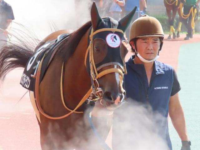道悪の直線競馬は圧倒的に8枠有利 カフジテトラゴンの押し切りだ