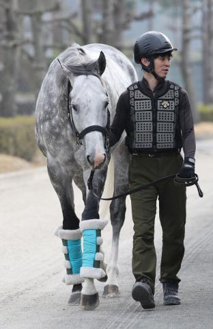【注目馬動向】24年の高松宮記念Vマッドクールが坂井瑠星騎手と安田記念参戦　マイル戦は新馬以来、約3年半ぶり
