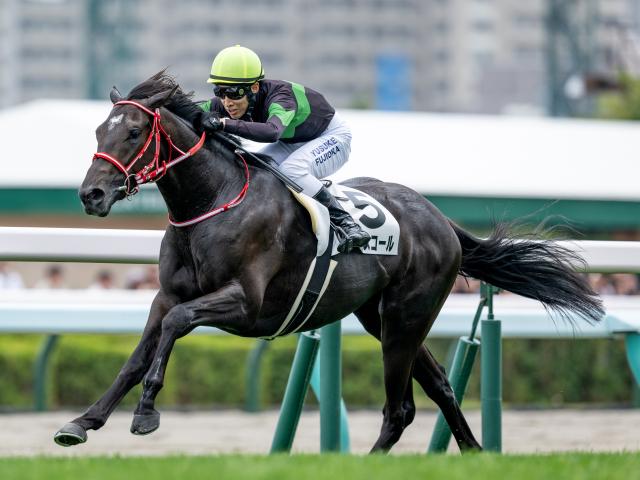 【週末情報】キングスコール好勝負/馬三郎のつぶやき