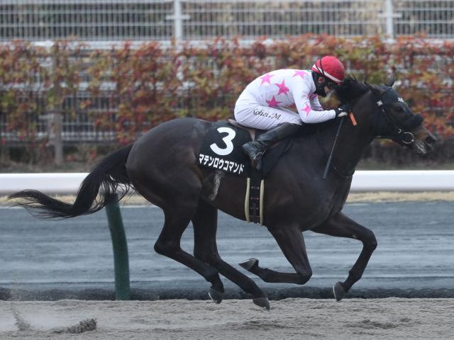 【POG】マテンロウコマンドは交流重賞へ/馬三郎のつぶやき