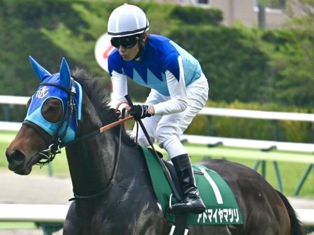 【ヴィクトリアM】今年こそ福島牝馬S組の初制覇なるか アドマイヤマツリがGI初挑戦だ