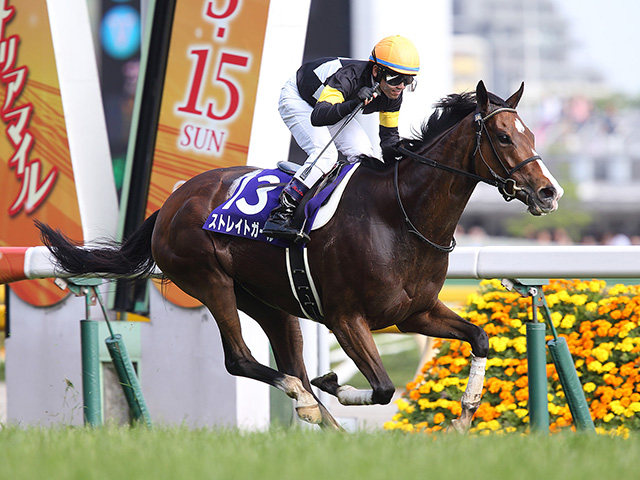 【ヴィクトリアマイル】主要な記録を一挙紹介 最多優勝騎手・調教師・馬主は？