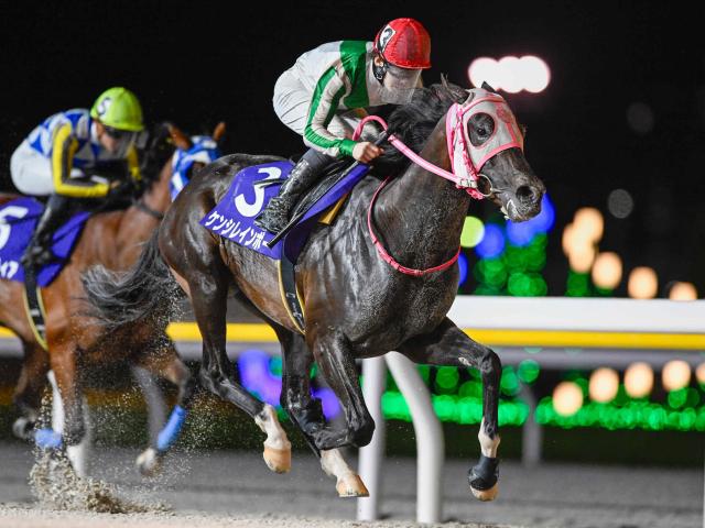 【船橋・東京湾C結果】ケンシレインボーが差し切って重賞初制覇