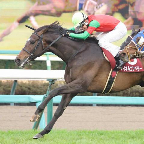 天皇賞春5着マイネルエンペラーが骨膜のクリーニング手術へ　全治3か月程度の見込み