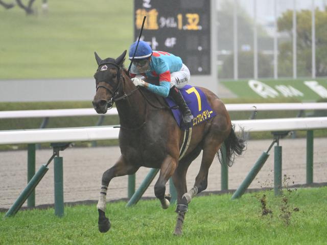 【オークス想定馬・騎手】エンブロイダリー、アルマヴェローチェなど20頭