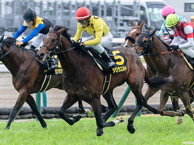 【新潟大賞典想定馬・騎手】シリウスコルト、ショウナンアデイブなど24頭