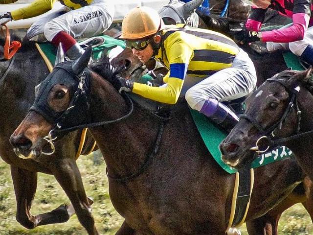 【ヴィクトリアM】穴狙いなら社台ファーム生産馬！ ソーダズリングとビヨンドザヴァレーの2頭が参戦だ
