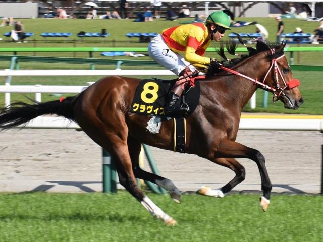 【日吉特別】兄姉にリアルスティール＆ラヴズオンリーユー 矢作芳人厩舎ゆかりの超良血が3勝目狙う