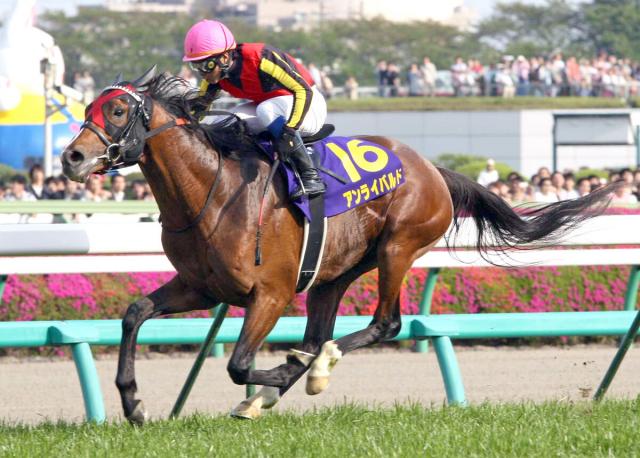 友道調教師がアンライバルドの死を悼む「この馬の経験で、その後にダービーを3勝できたと思っています」