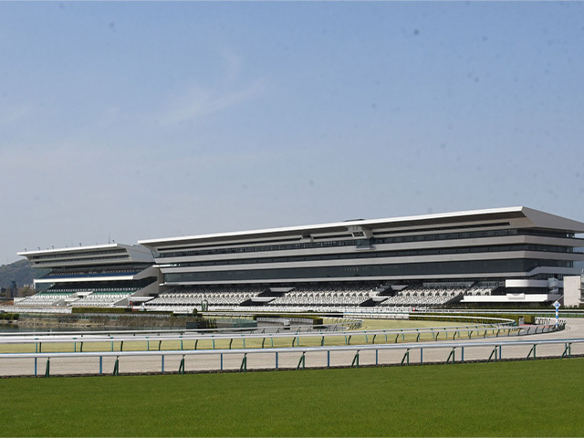 【京都新聞杯結果】ショウヘイが2馬身半差の完勝で重賞初制覇