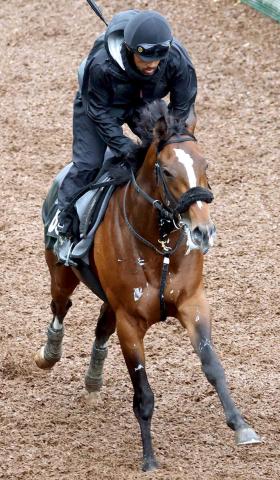 【京都新聞杯】トッピボーン3連勝ならず　武豊騎手は39年連続重賞制覇おあずけ