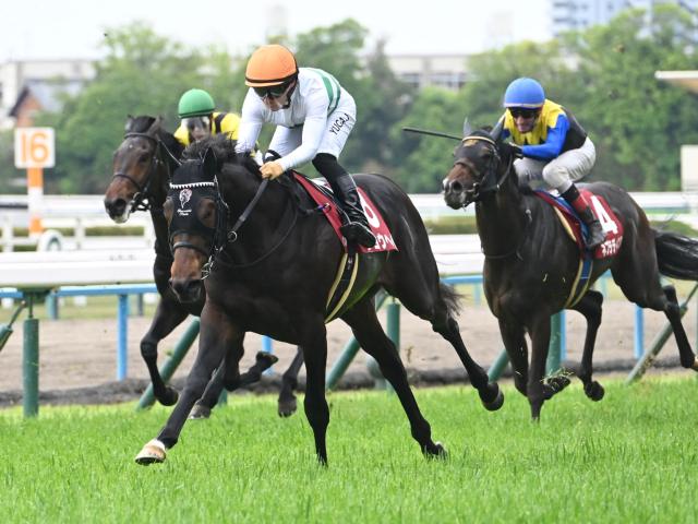 【京都新聞杯結果】ショウヘイが2馬身半差の完勝で重賞初制覇