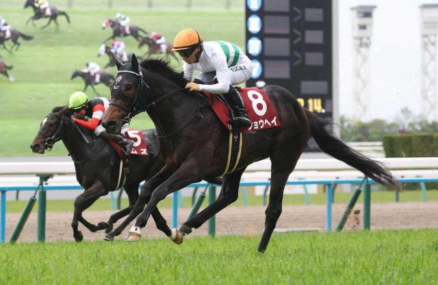 【京都新聞杯】ショウヘイ重賞初制覇　ダービーへ友道師「1F延びても折り合いは大丈夫」