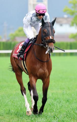 【京都新聞杯】武豊騎手騎乗のトッピボーンは「引っかかりましたね」4着　3連勝ならず