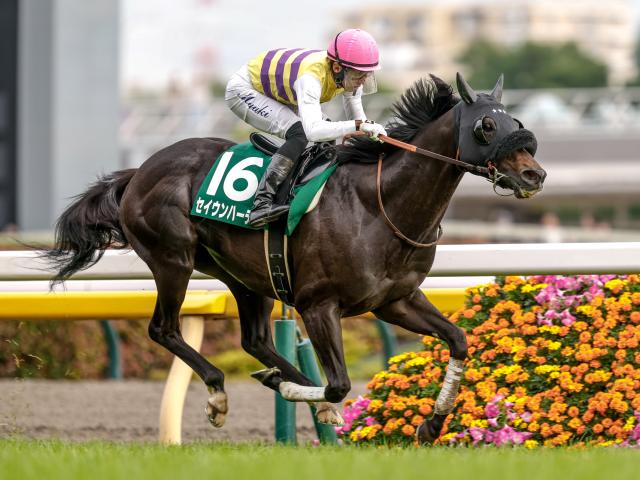 【エプソムC結果】セイウンハーデスが突き抜けレコードV！ 重賞2勝目
