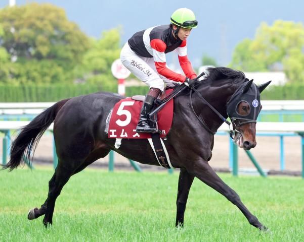 【京都新聞杯】エムズしぶとさ見せるも3連勝ならず2着　松山弘平騎手「ヨーイドンになったあたりが…」