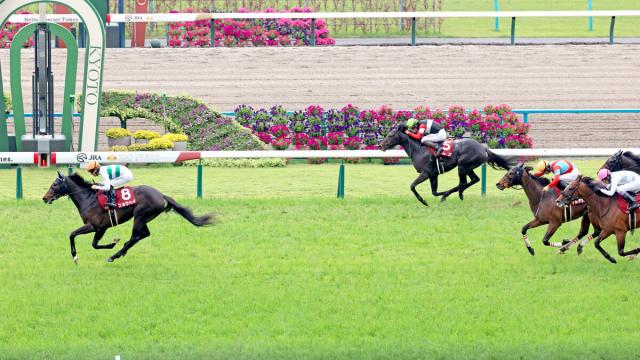 【京都新聞杯】「2着じゃ駄目なんです」エムズ敗戦に無念の池江調教師…ダービー出走はギリギリセーフ?