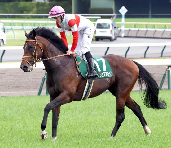 【エプソムC】2番人気ダノンエアズロックは伸び欠き6着　レーン騎手「しまいの脚がなくなってしまった」