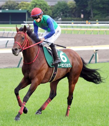【エプソムC】伏兵トーセンリョウ大外追い上げ3着　団野大成騎手「ここにきてすごく良くなっている」