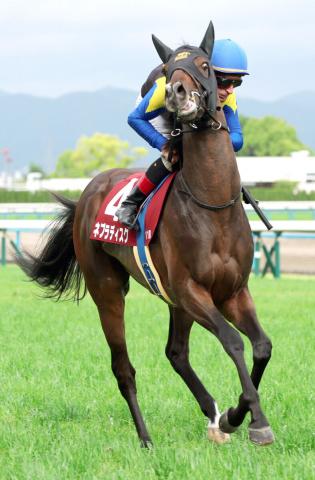 【京都新聞杯】シュタルケ騎手騎乗のネブラディスクは「レース前に興奮」5着　エネルギー消耗が「もったいなかった」