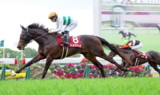 【京都新聞杯】馬名の意味は“人名”ショウヘイが重賞初制覇　川田将雅騎手「ダービーへの道がつながりました」
