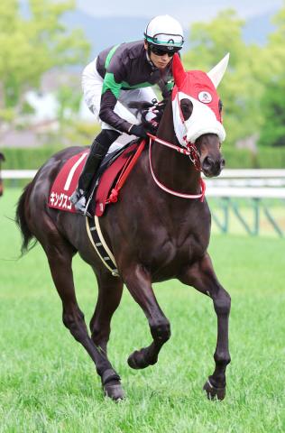 【京都新聞杯】2番人気のキングスコールはペース上昇時に手応えなく9着　坂井瑠星騎手「最後も脚を使えず…」