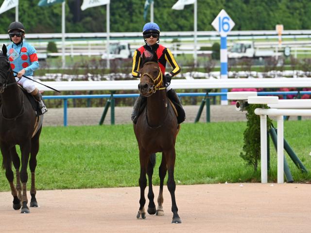 【久御山特別レース後コメント】アルトゥーム高杉吏麒騎手ら