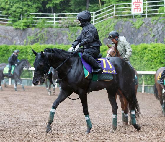 【NHKマイルC】東京到着のヤンキーバローズは折り合い面がカギ　陣営「あとは自分との戦い」