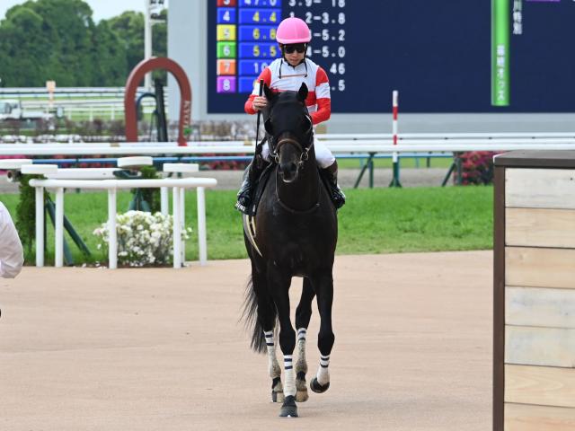 【鴨川特別レース後コメント】ダノンフロイデ松山弘平騎手ら