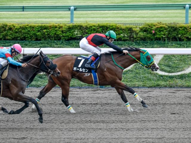 【青竜Sレース後コメント】ポールセン C.ルメール騎手ら