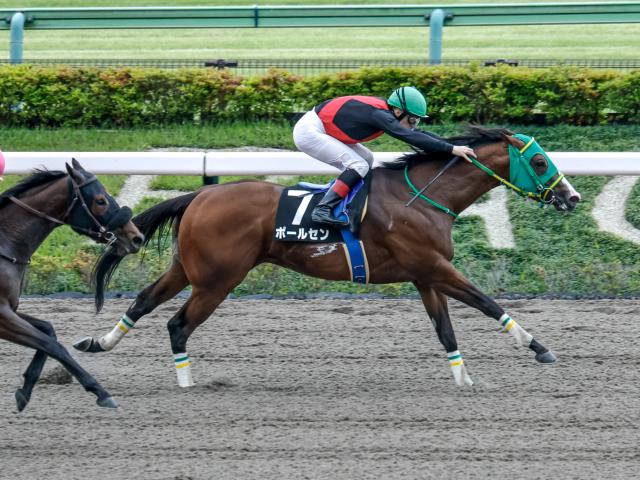 【青竜S結果】2番人気ポールセンが逃げ切り勝ち