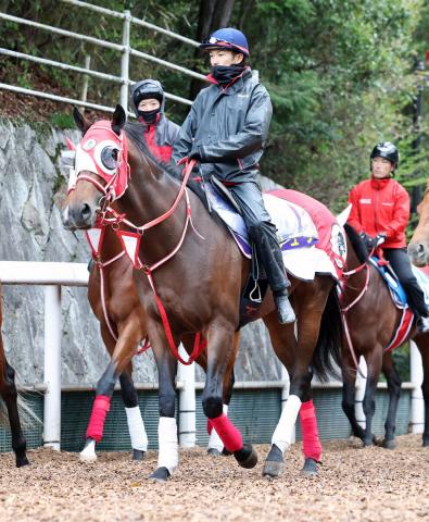 【注目馬動向】ジュタは軽度の骨折で春休養　矢作調教師「復帰後はダートも視野に考えたい」