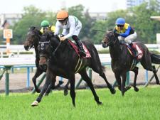 川田将雅騎手騎乗の5番人気ショウヘイが勝利(c)netkeiba